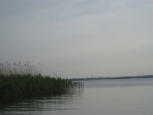 Jezioro Dąbskie