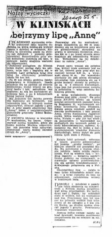 "W Kliniskach obejrzymy lipę Annę" - Kurier Szczeciński z dn. 20.08.1955